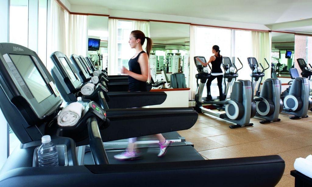 Control de plagas en polideportivos y gimnasios