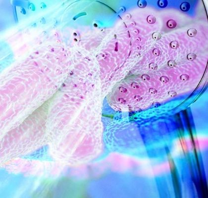 calidad ambiental control de legionella