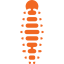 oruga