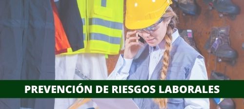 https://alesza.com/categoria-producto/formacion/prevencion-de-riesgos-laborales/