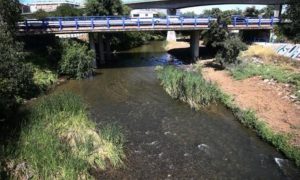 La mosca negra no da tregua a los vecinos de Villaverde-5