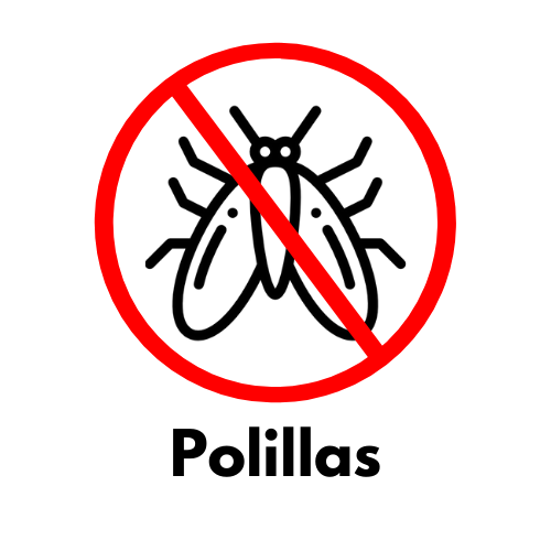 Eliminar Polillas Eficazmente