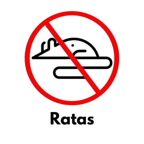 Eliminar Ratas