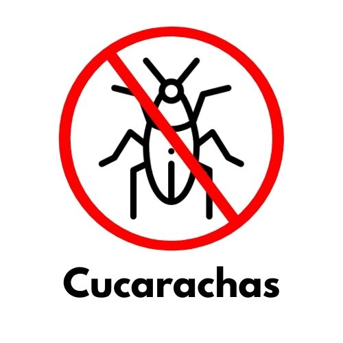 Productos para Eliminar Cucarachas