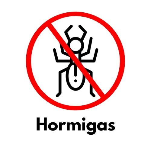 Producto para Eliminar Hormigas