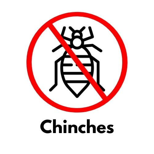 Productos para Eliminar Chinches