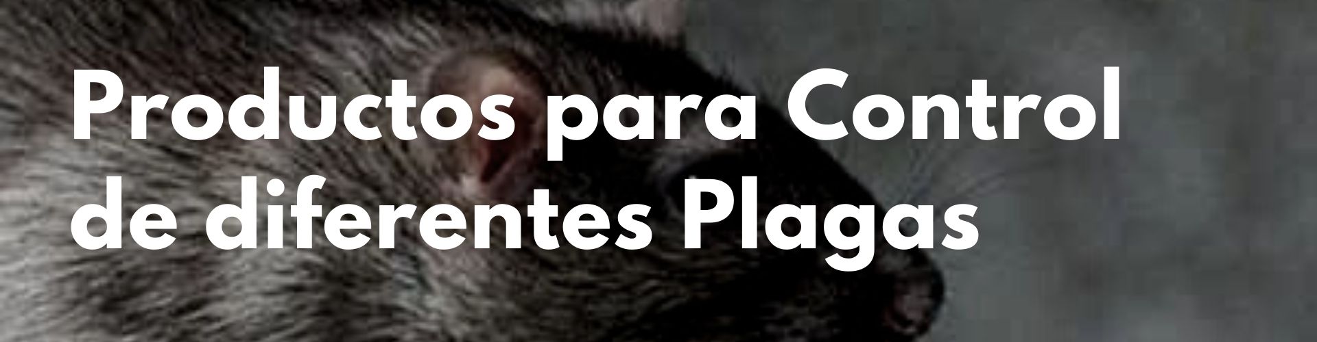 banner tienda Online Productos Sanidad Higiene Calidad Ambiental Maquinaria Profesional de Limpieza (4)