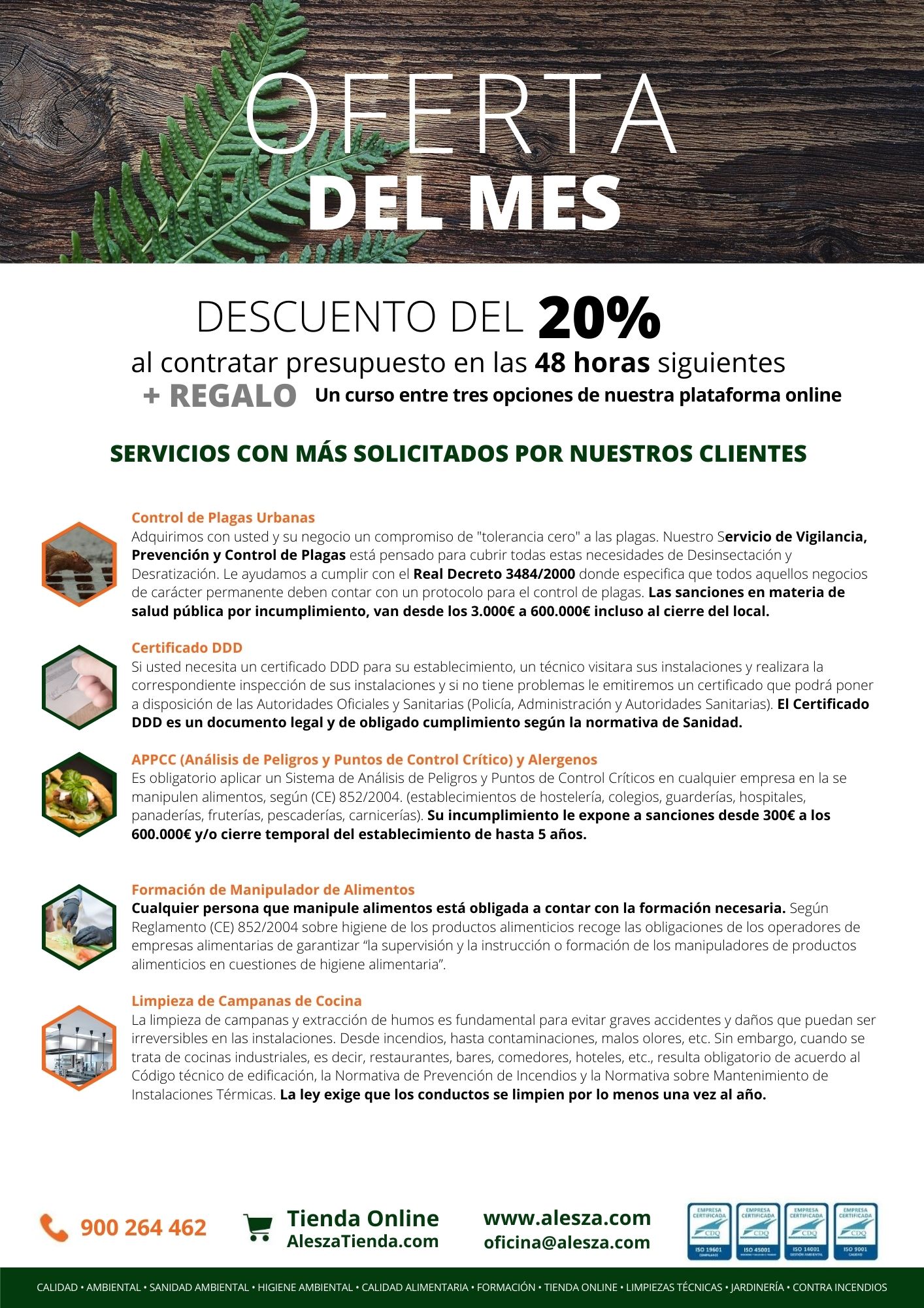 oferta alesza mes de noviembre
