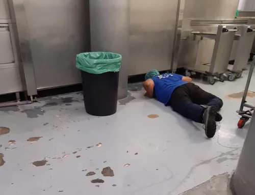 Ratas en la cocina del hospital Gregorio Marañón: “Se mueven por donde les da la gana”